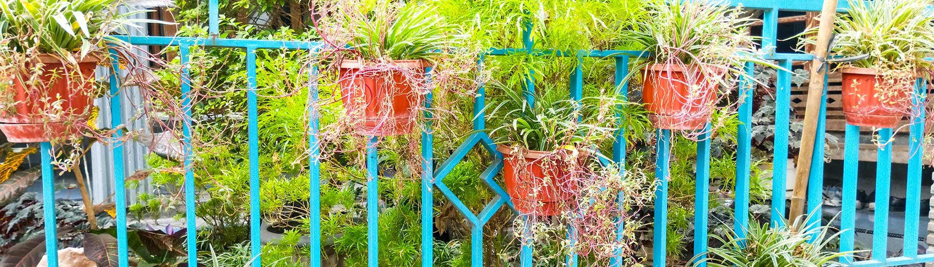 Fencing Installation and Repair Services in the UK
