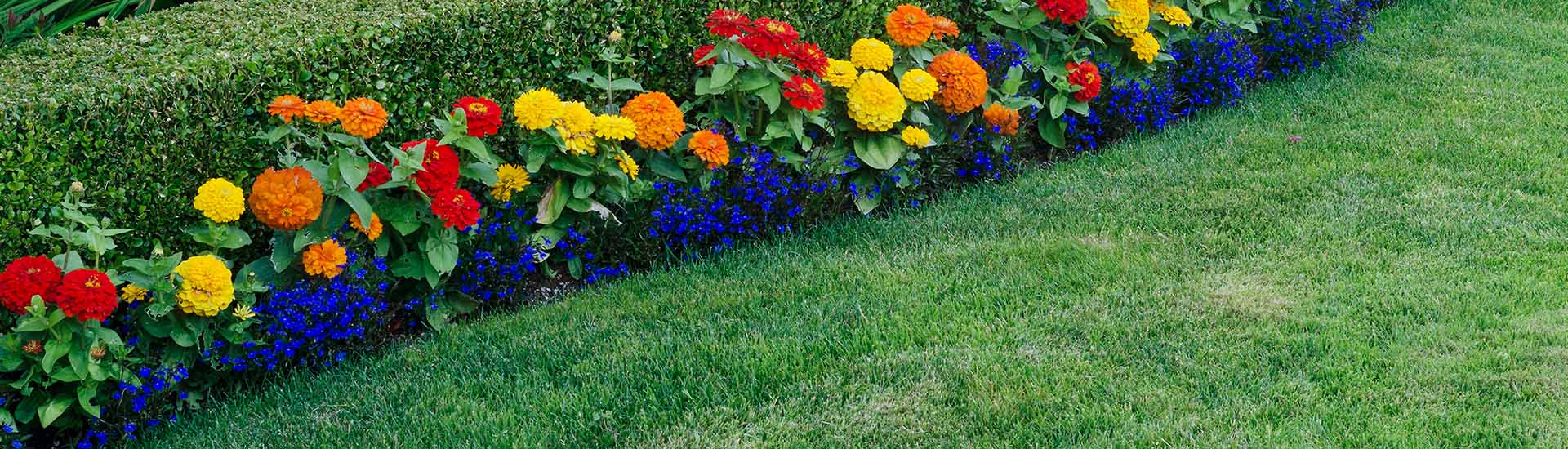 Garden Design Services in the UK