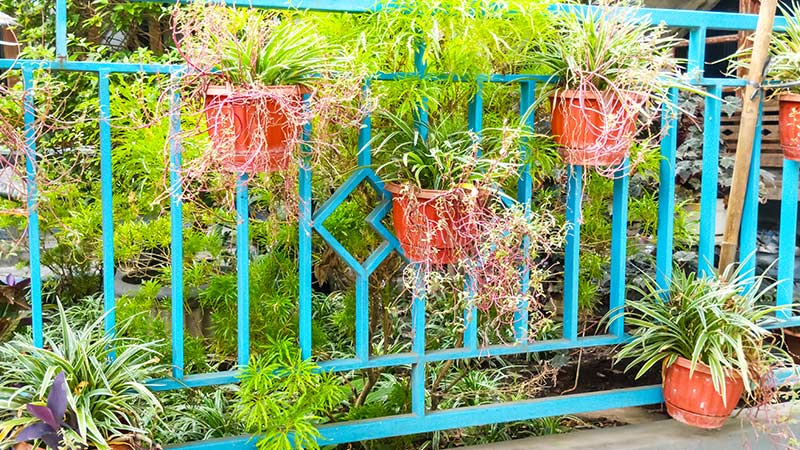 Fencing Installation and Repair Services in the UK
