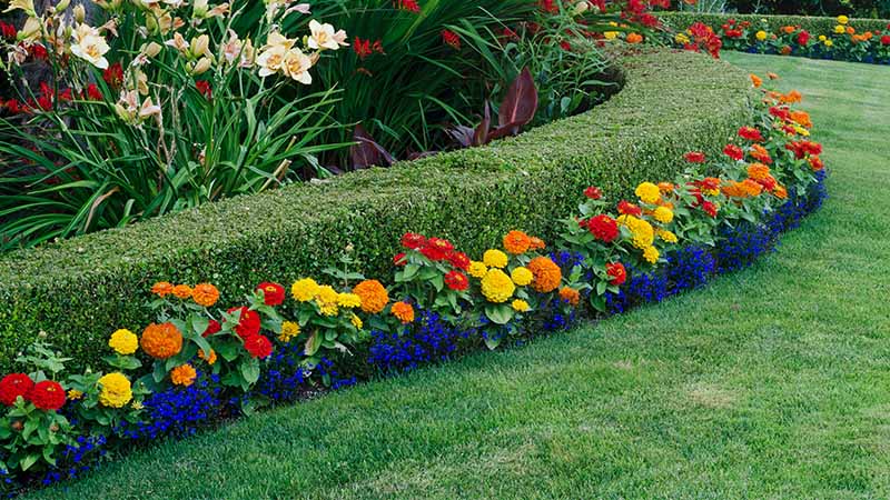 Garden Design Services in the UK