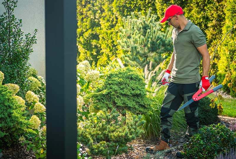 Seasonal Gardening Tips for a Thriving Garden